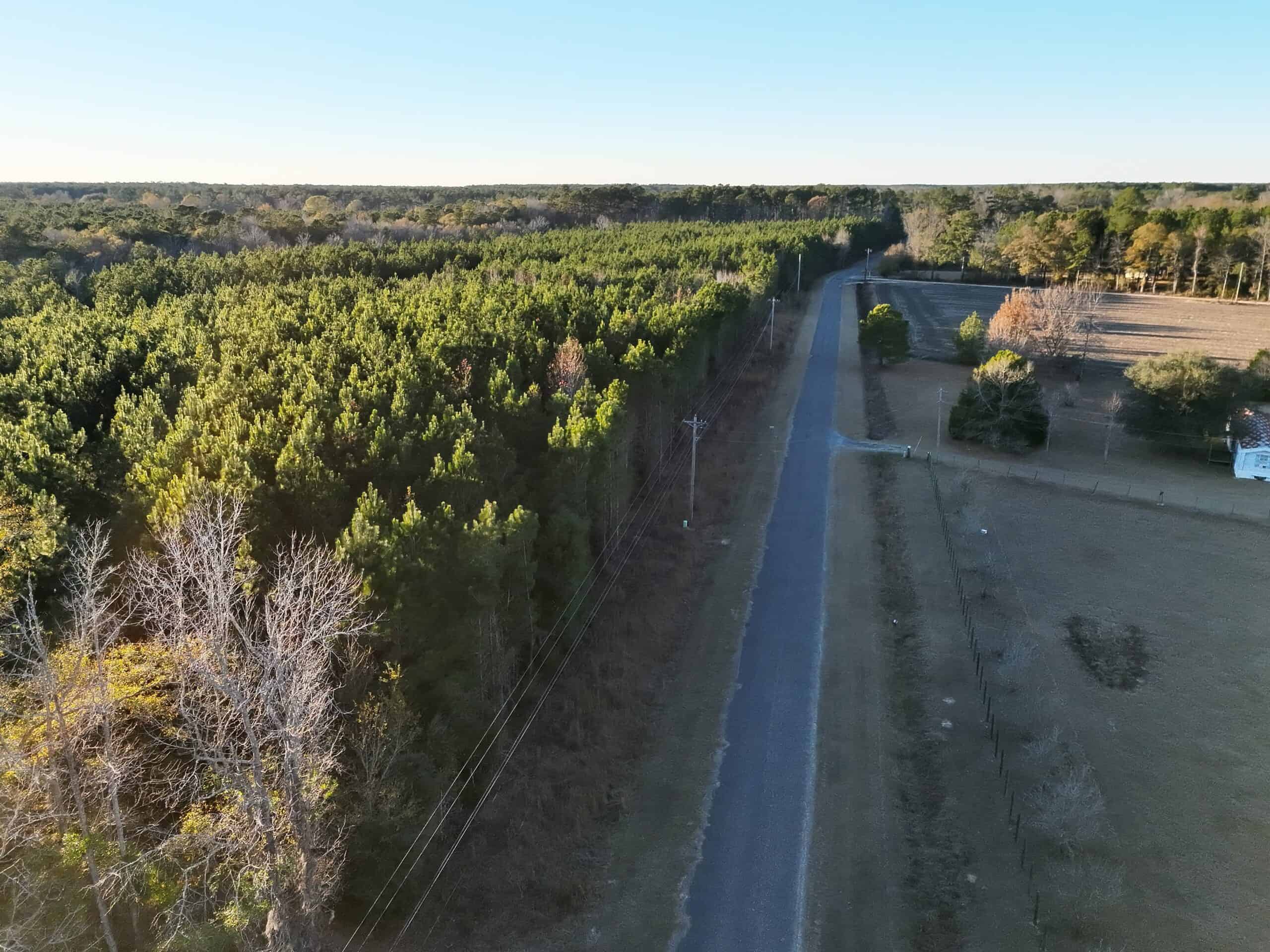 Nestled right in the heart of Hampton County, this 8-acre parcel is a wooded haven!