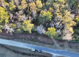 Nestled right in the heart of Hampton County, this 8-acre parcel is a wooded haven!