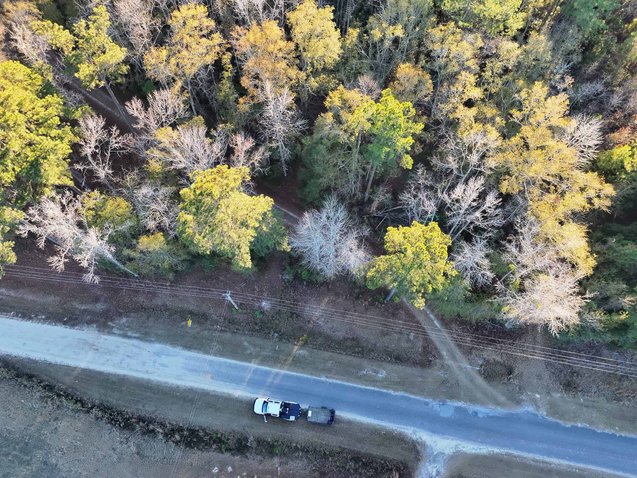 Nestled right in the heart of Hampton County, this 8-acre parcel is a wooded haven!