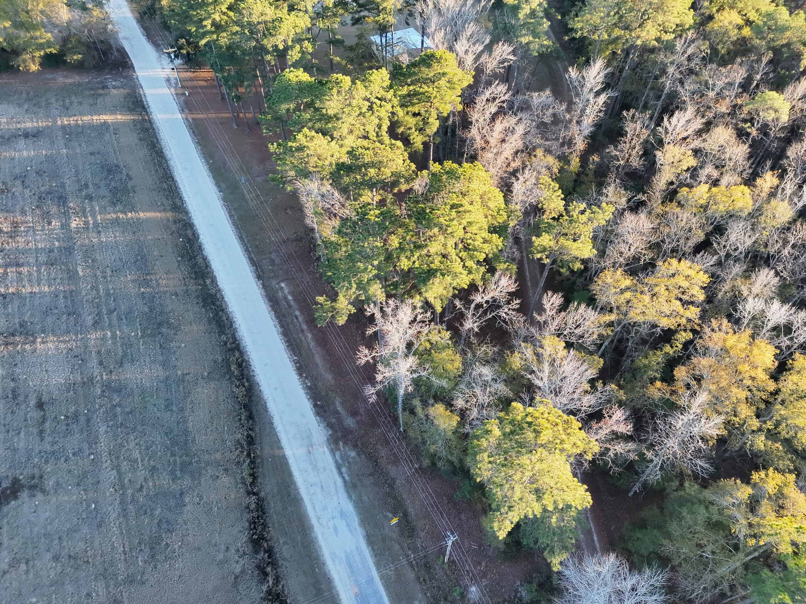 Nestled right in the heart of Hampton County, this 8-acre parcel is a wooded haven!