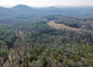 HUNTING LAND FOR SALE IN NORTH CENTRAL ARKANSAS