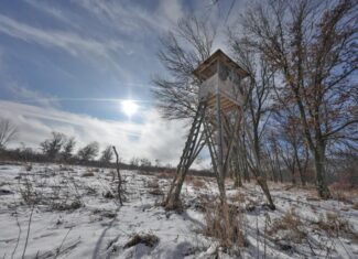 159.54 Acre Adams County property Near Nekoosa, WI
