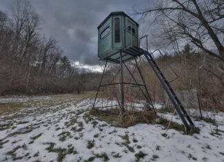 Prime Crawford County Hunting Land with Electric & Legendary Big Buck Potential