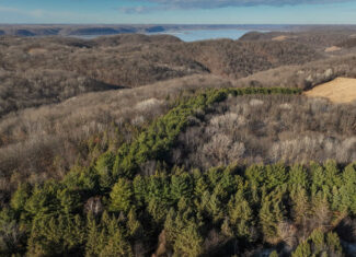 Legacy Blufftop Hunting Retreat Near the Mississippi River | 128 Acres in Crawford County, WI