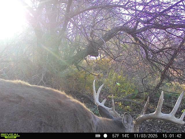 Driftless Trophy Whitetail Legacy Farm – Proven Big Buck Property with Prime Ag & Timber in Richland County, WI