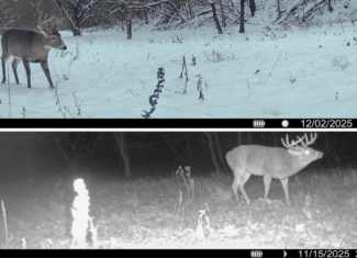 Prime Crawford County Hunting Land with Electric & Legendary Big Buck Potential