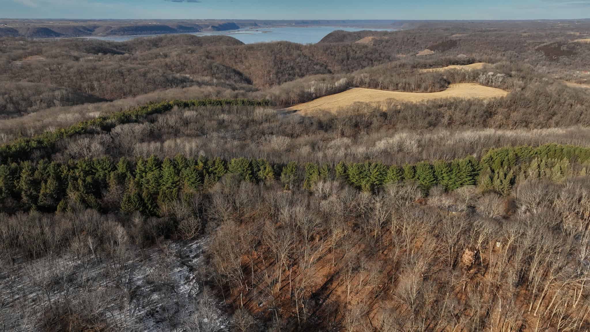 Legacy Blufftop Hunting Retreat Near the Mississippi River | 128 Acres in Crawford County, WI