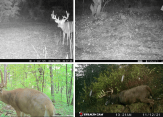 Prime Crawford County Hunting Land with Electric & Legendary Big Buck Potential