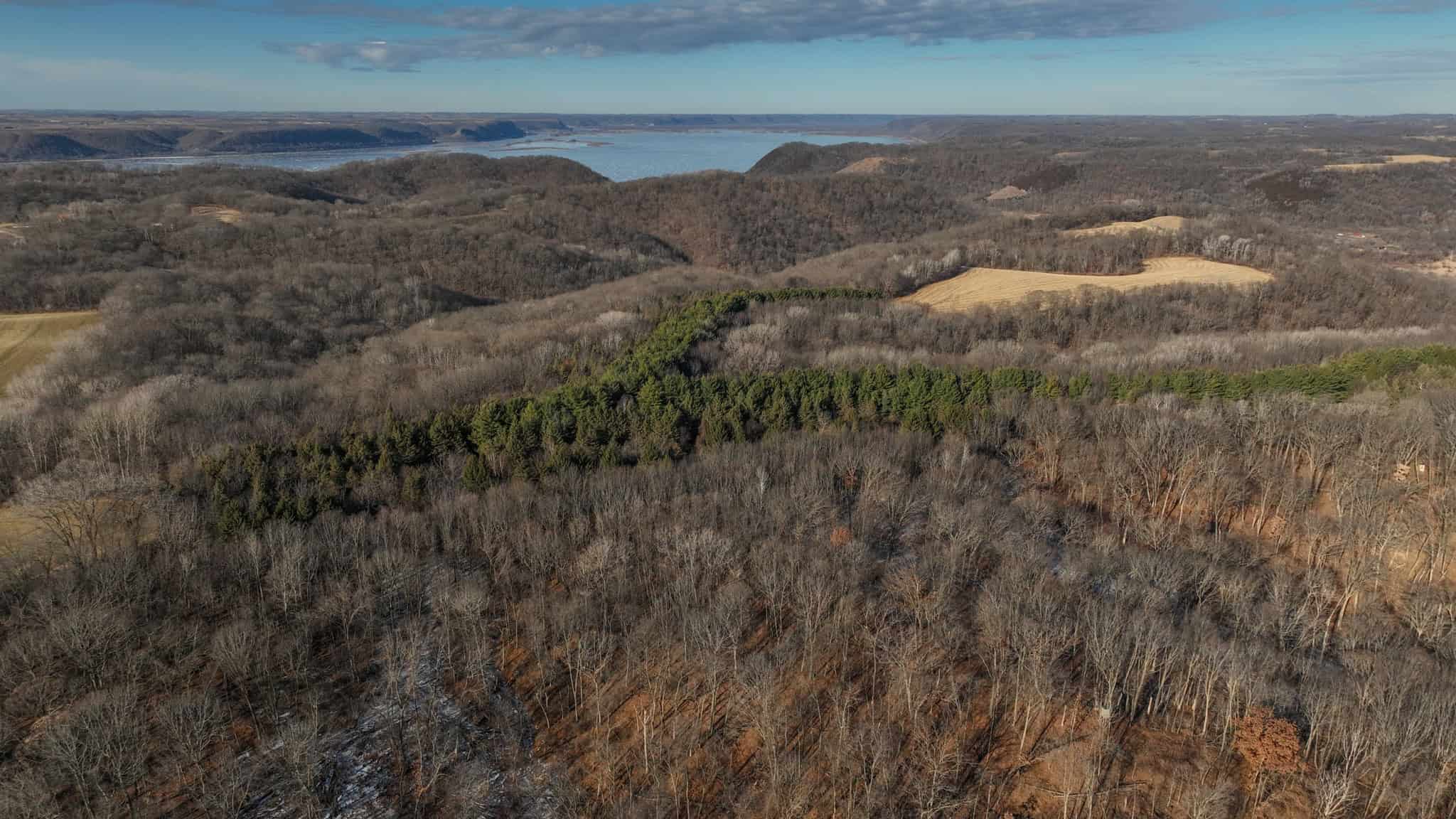 Legacy Blufftop Hunting Retreat Near the Mississippi River | 128 Acres in Crawford County, WI