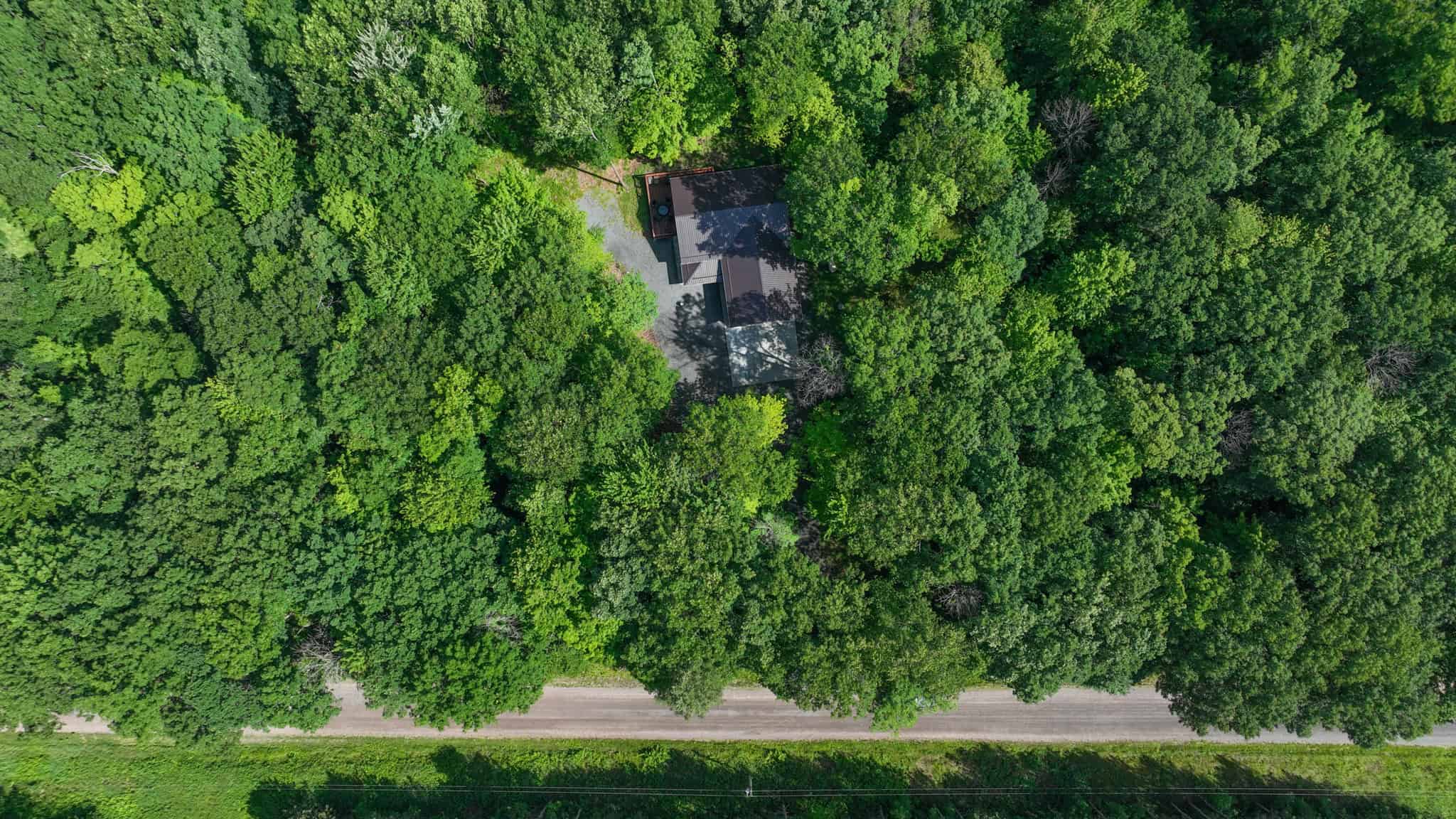 Legacy Whitetail Retreat — 65 Acres with New Custom Hunting Cabin off Dead-End Road in Clark County, Wisconsin