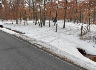 159.54 Acre Adams County property Near Nekoosa, WI