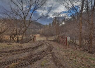 Prime Crawford County Hunting Land with Electric & Legendary Big Buck Potential