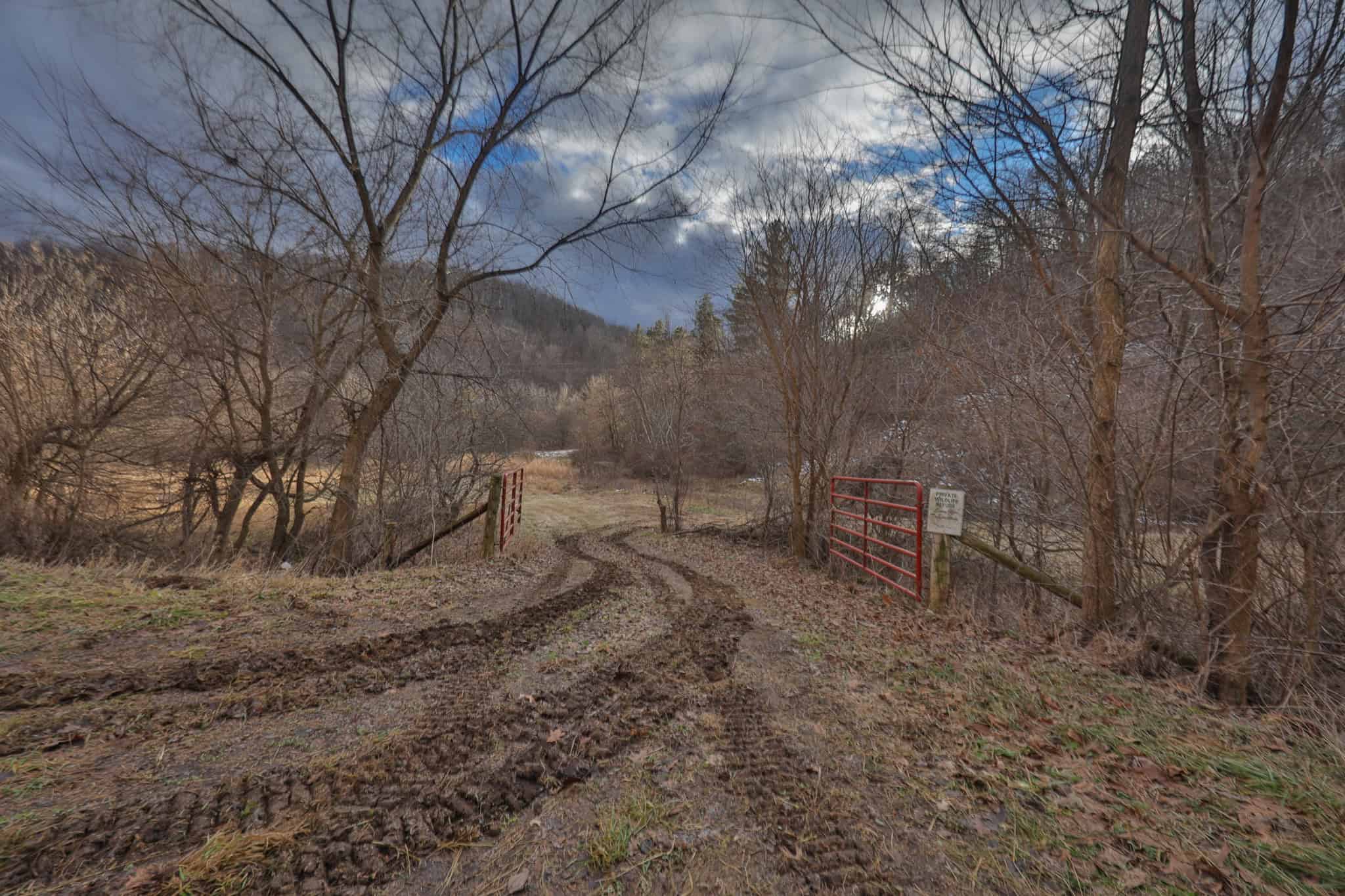 Prime Crawford County Hunting Land with Electric & Legendary Big Buck Potential