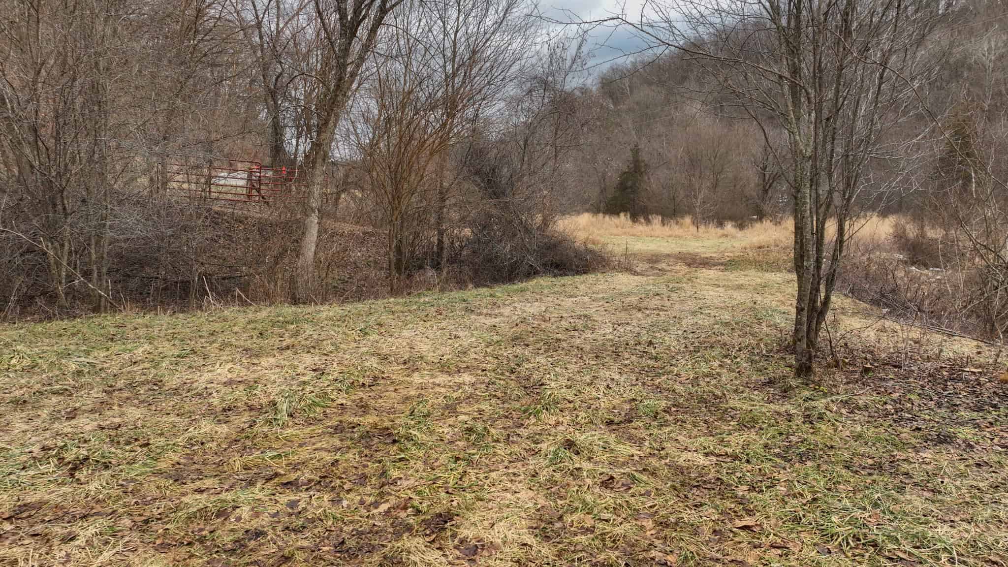 Prime Crawford County Hunting Land with Electric & Legendary Big Buck Potential