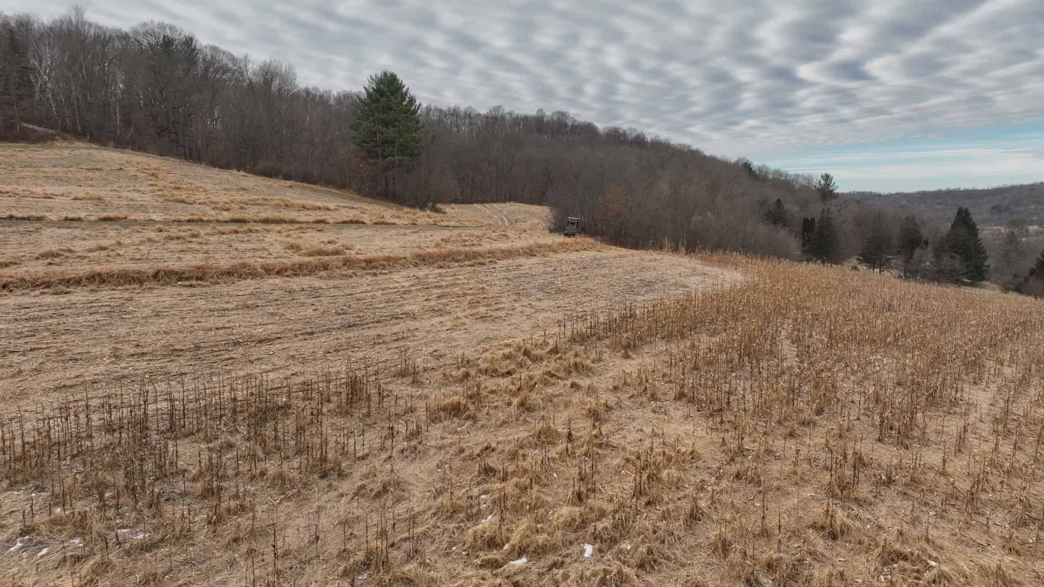 Driftless Trophy Whitetail Legacy Farm – Proven Big Buck Property with Prime Ag & Timber in Richland County, WI