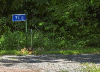 Legacy Whitetail Retreat — 65 Acres with New Custom Hunting Cabin off Dead-End Road in Clark County, Wisconsin