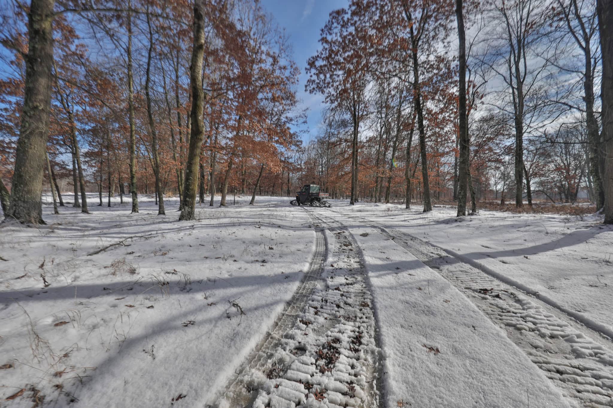 159.54 Acre Adams County property Near Nekoosa, WI