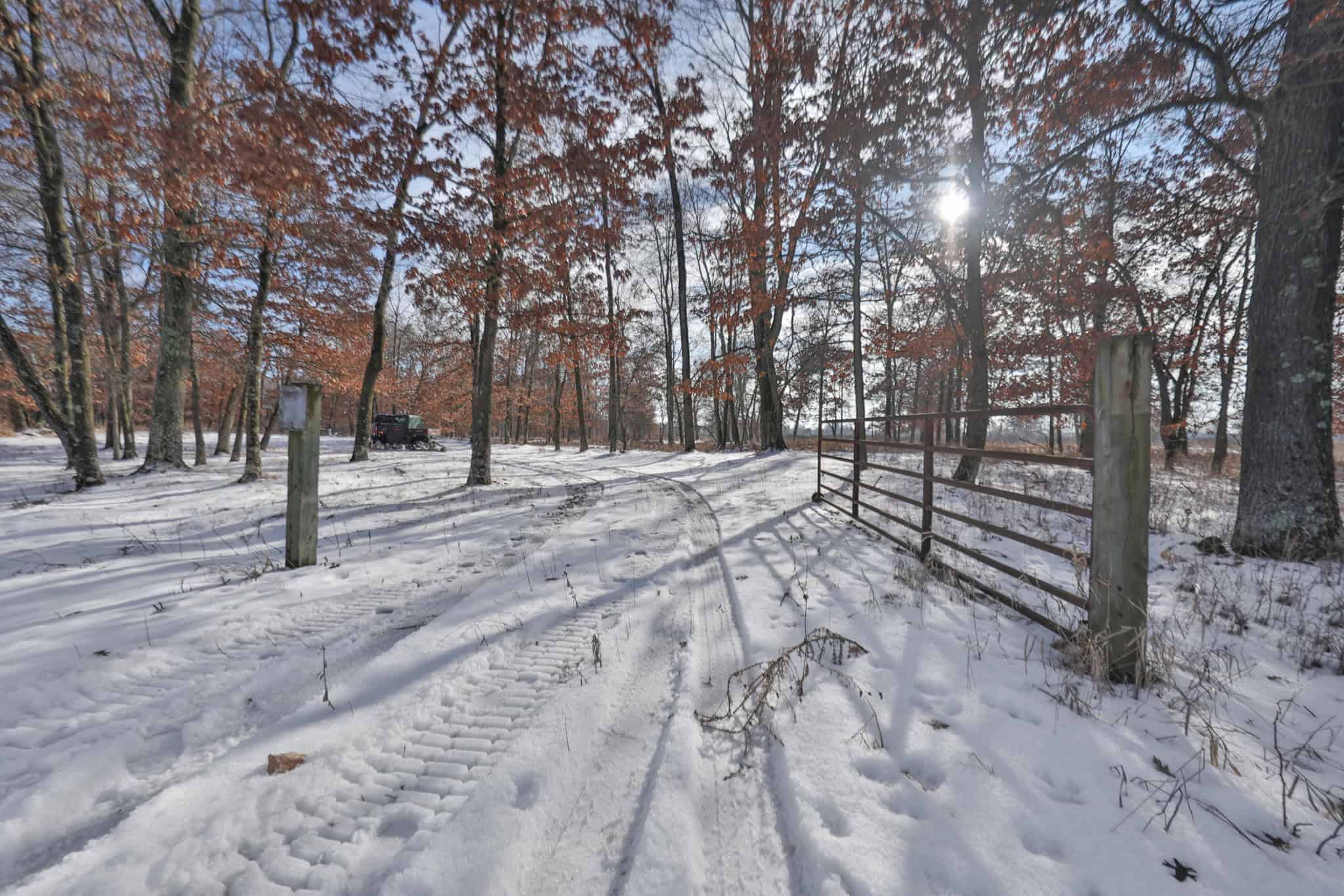 159.54 Acre Adams County property Near Nekoosa, WI