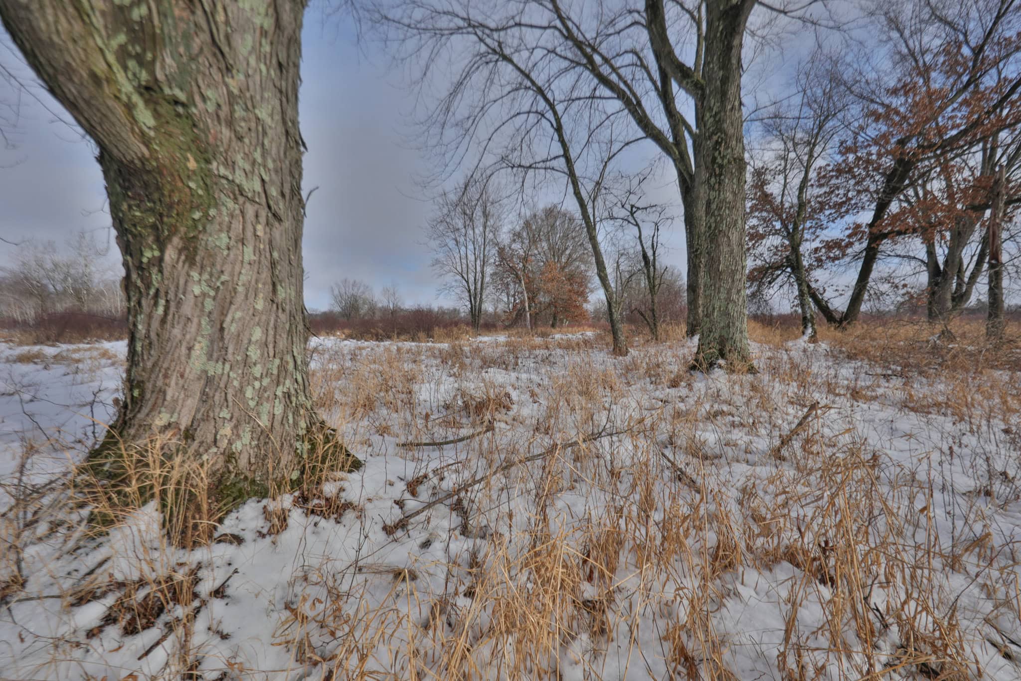 159.54 Acre Adams County property Near Nekoosa, WI