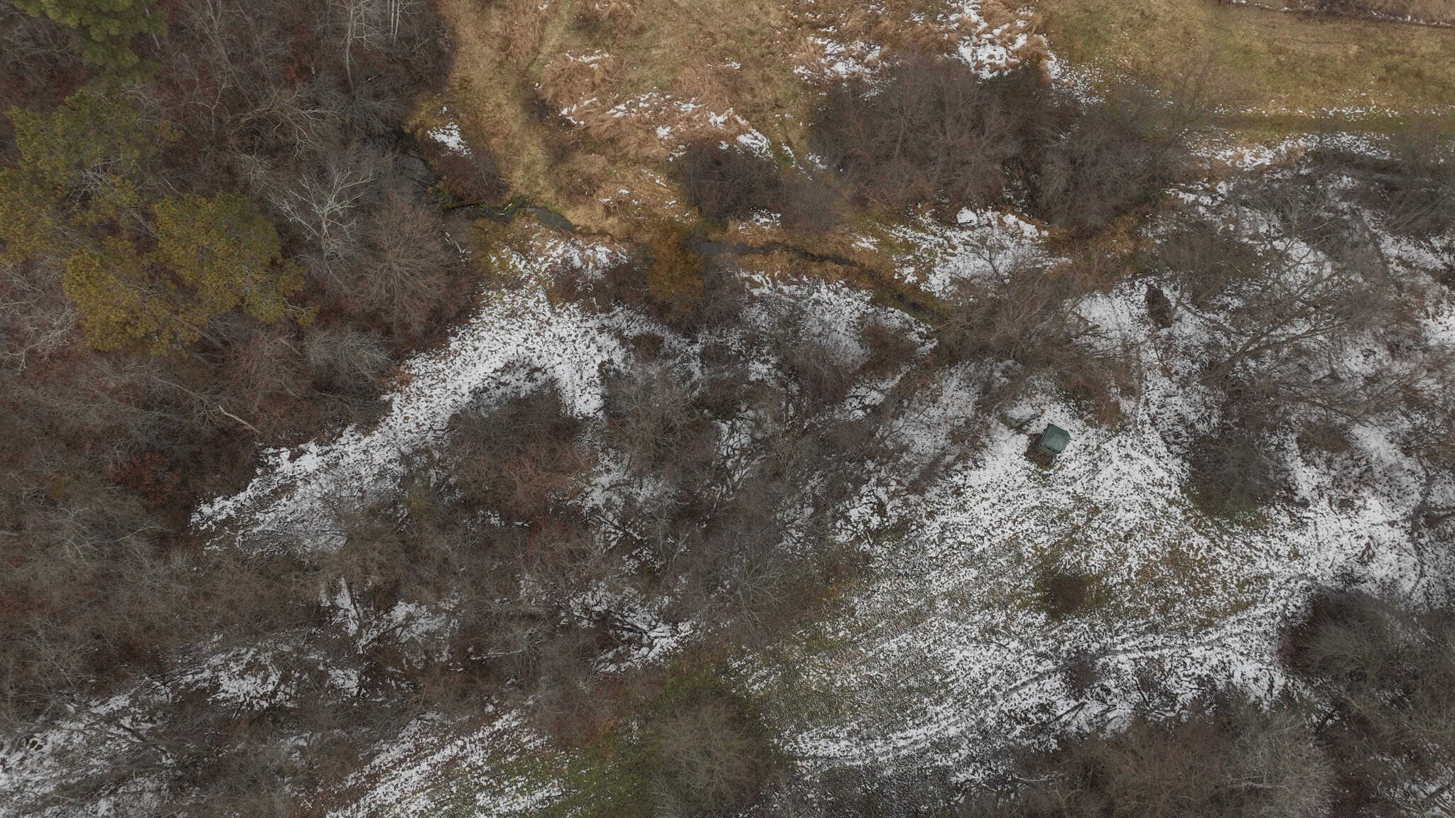 Prime Crawford County Hunting Land with Electric & Legendary Big Buck Potential