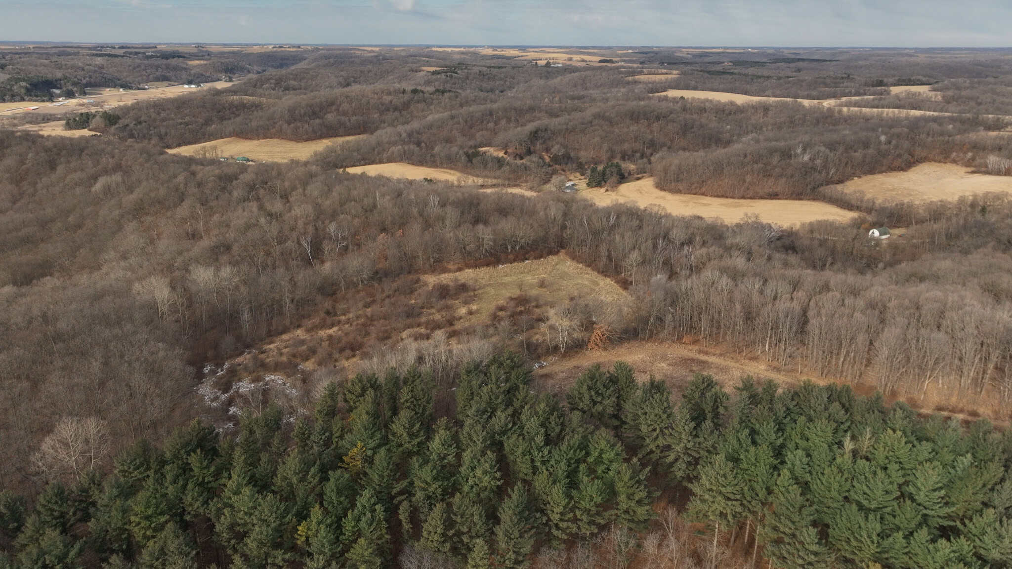 Driftless Trophy Whitetail Legacy Farm – Proven Big Buck Property with Prime Ag & Timber in Richland County, WI