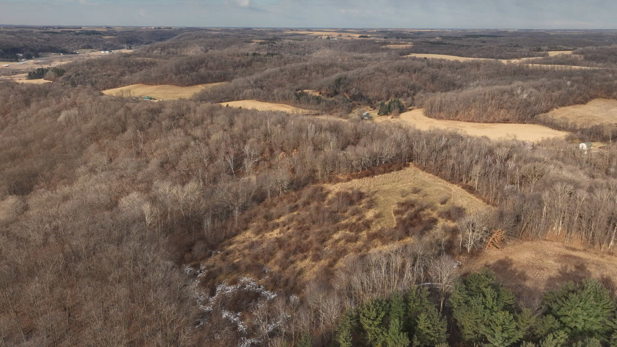 Driftless Trophy Whitetail Legacy Farm – Proven Big Buck Property with Prime Ag & Timber in Richland County, WI