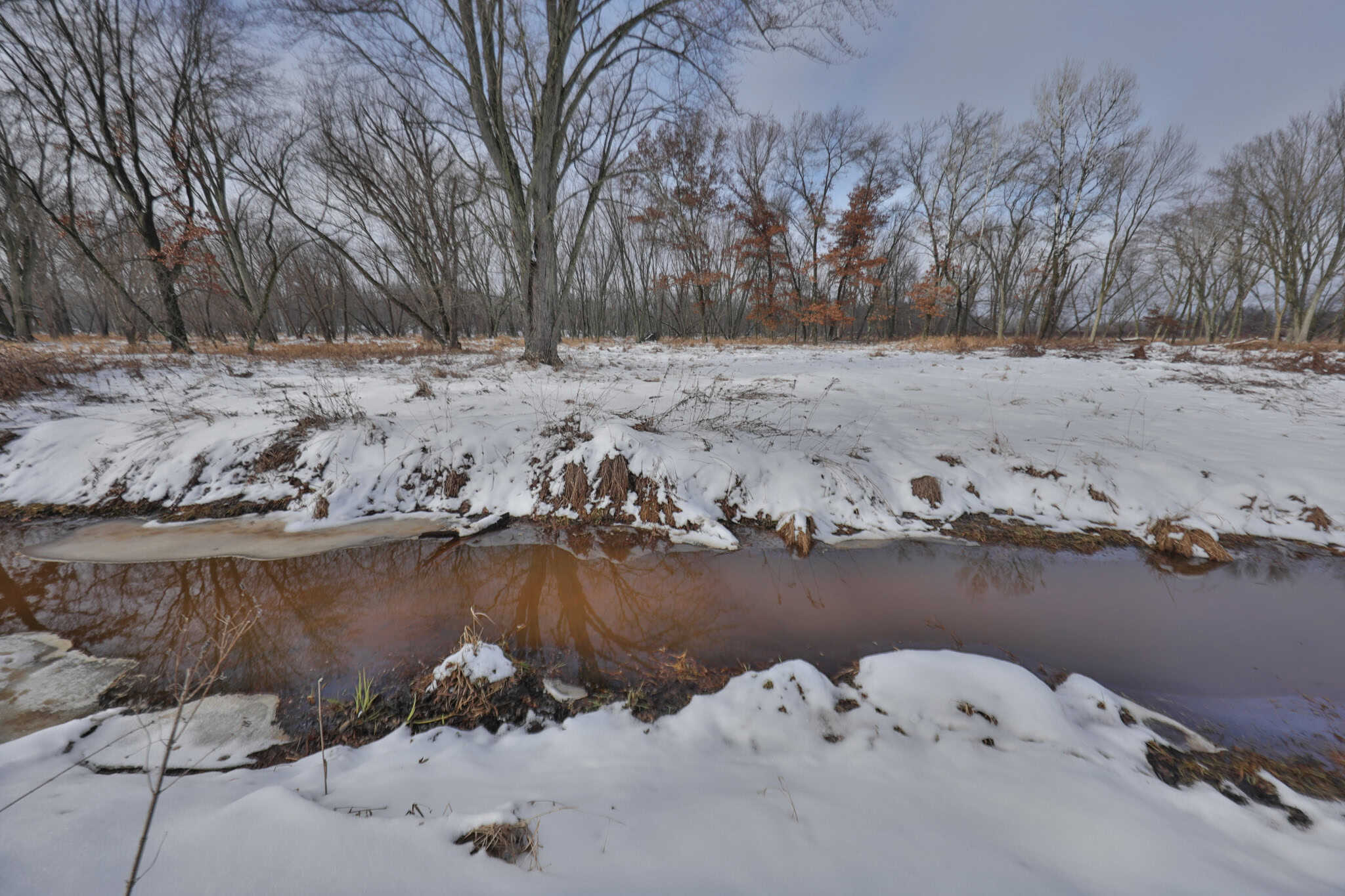 159.54 Acre Adams County property Near Nekoosa, WI