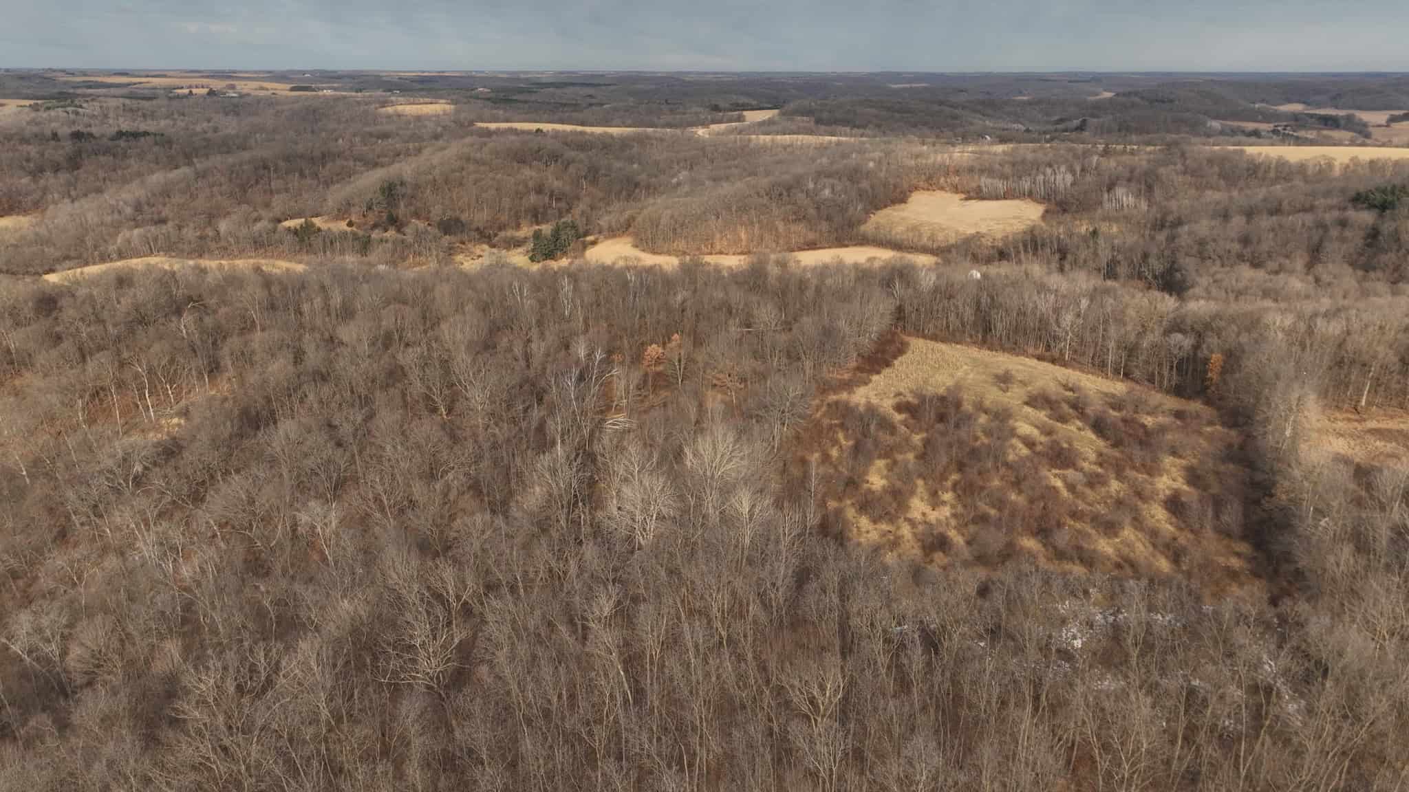 Driftless Trophy Whitetail Legacy Farm – Proven Big Buck Property with Prime Ag & Timber in Richland County, WI