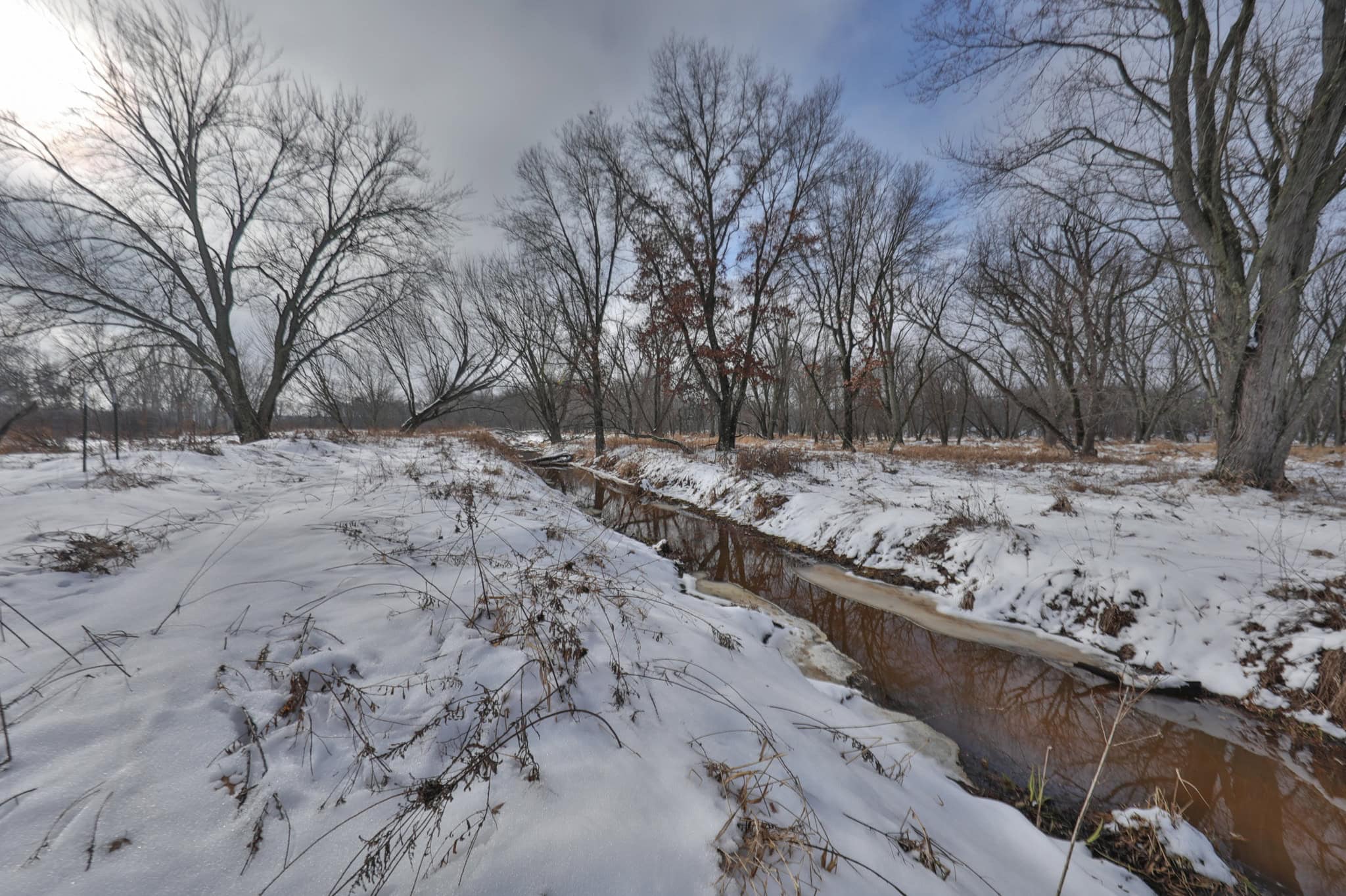 159.54 Acre Adams County property Near Nekoosa, WI