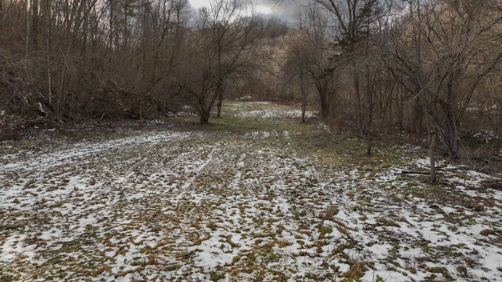 Prime Crawford County Hunting Land with Electric & Legendary Big Buck Potential