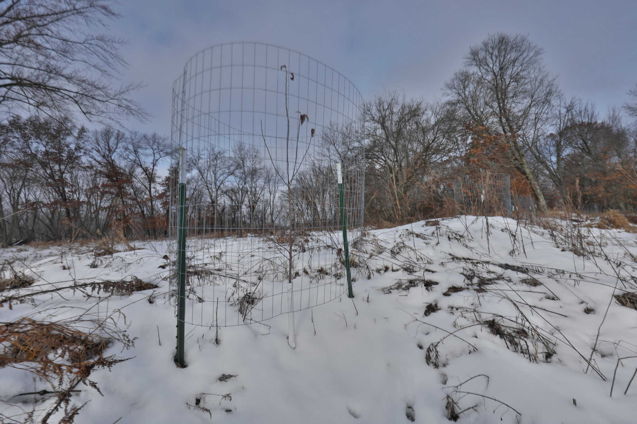 159.54 Acre Adams County property Near Nekoosa, WI