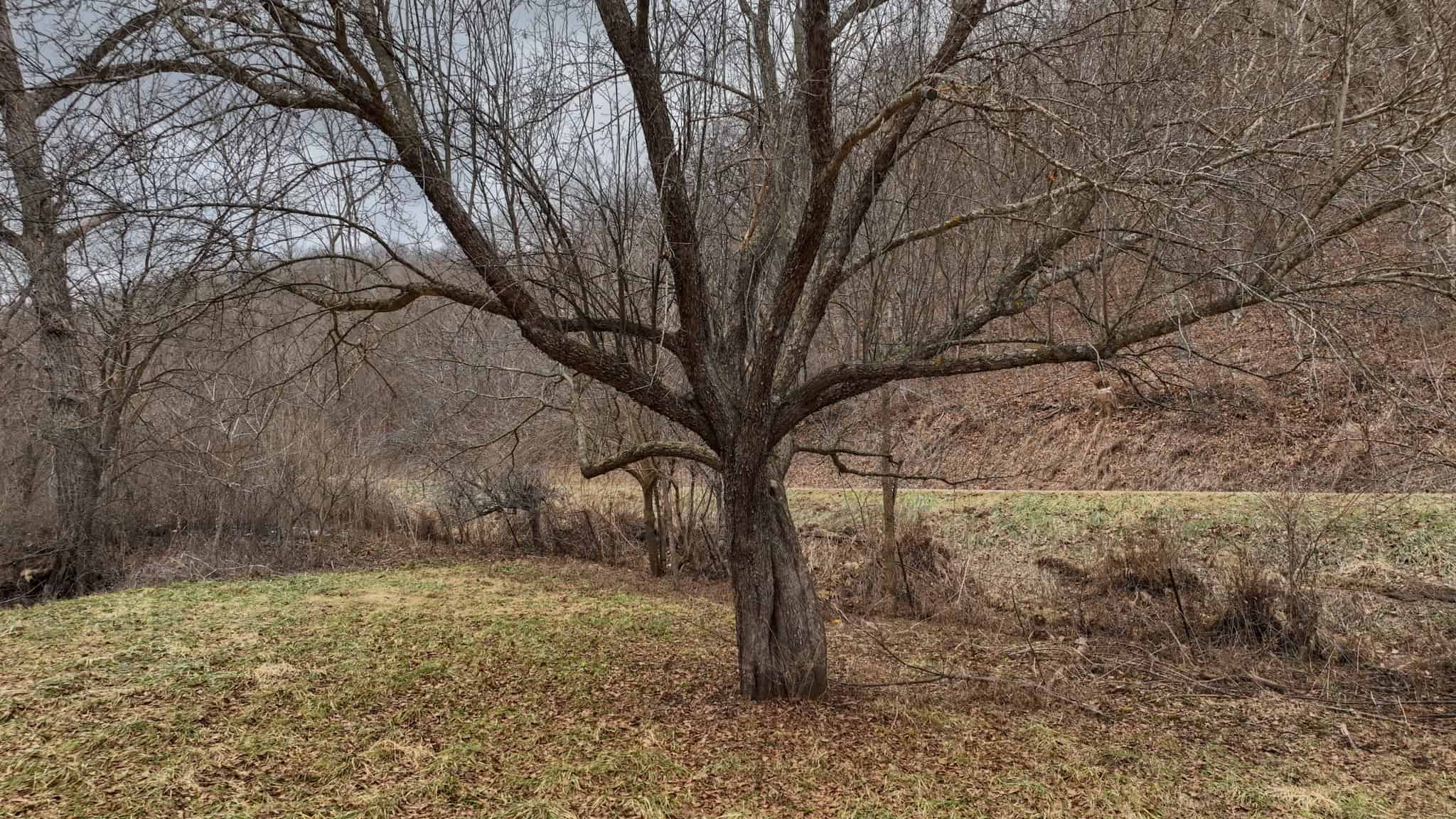Prime Crawford County Hunting Land with Electric & Legendary Big Buck Potential