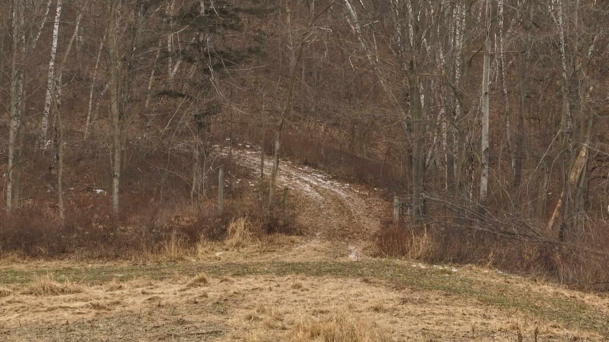 Driftless Trophy Whitetail Legacy Farm – Proven Big Buck Property with Prime Ag & Timber in Richland County, WI