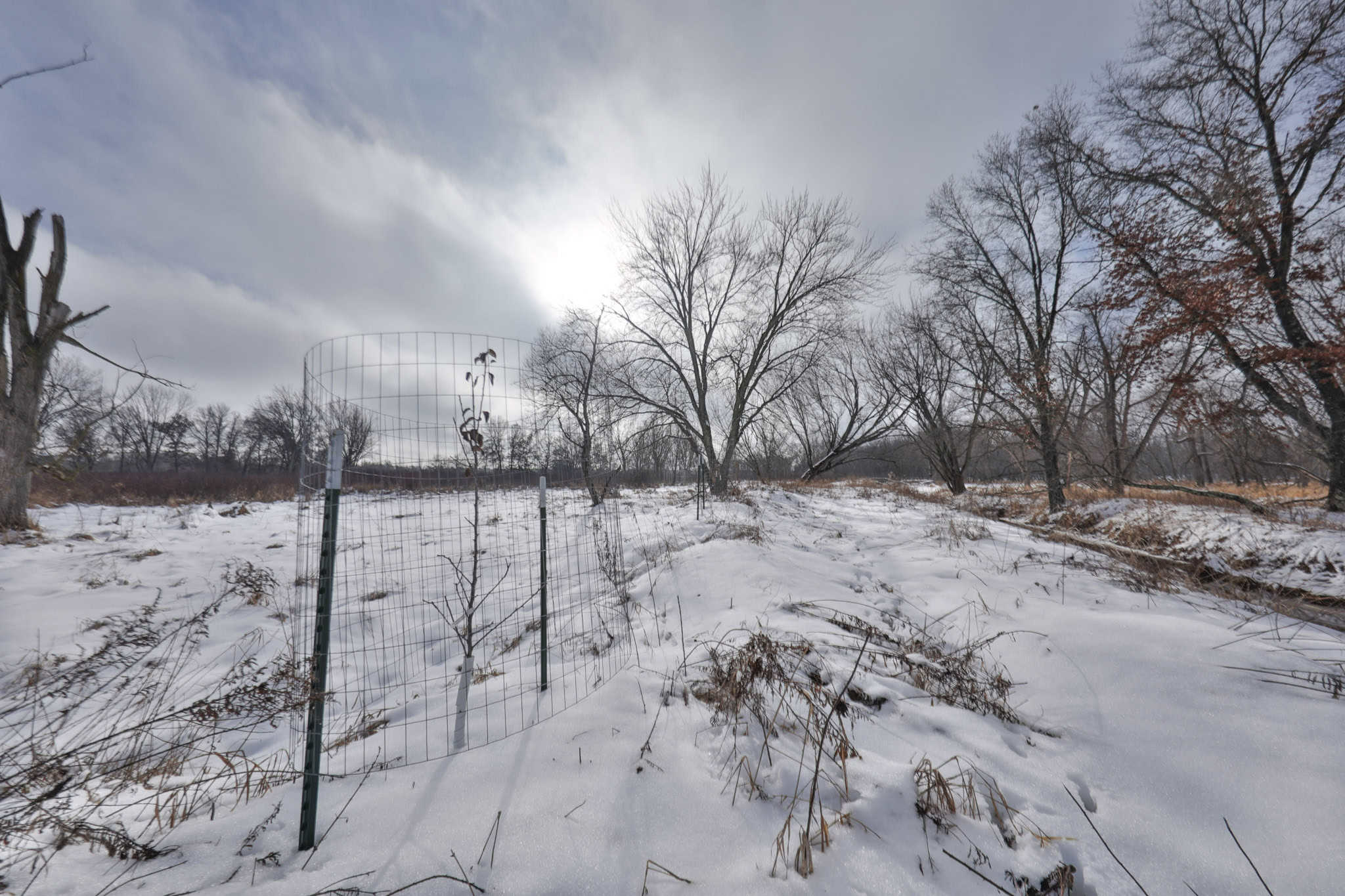 159.54 Acre Adams County property Near Nekoosa, WI
