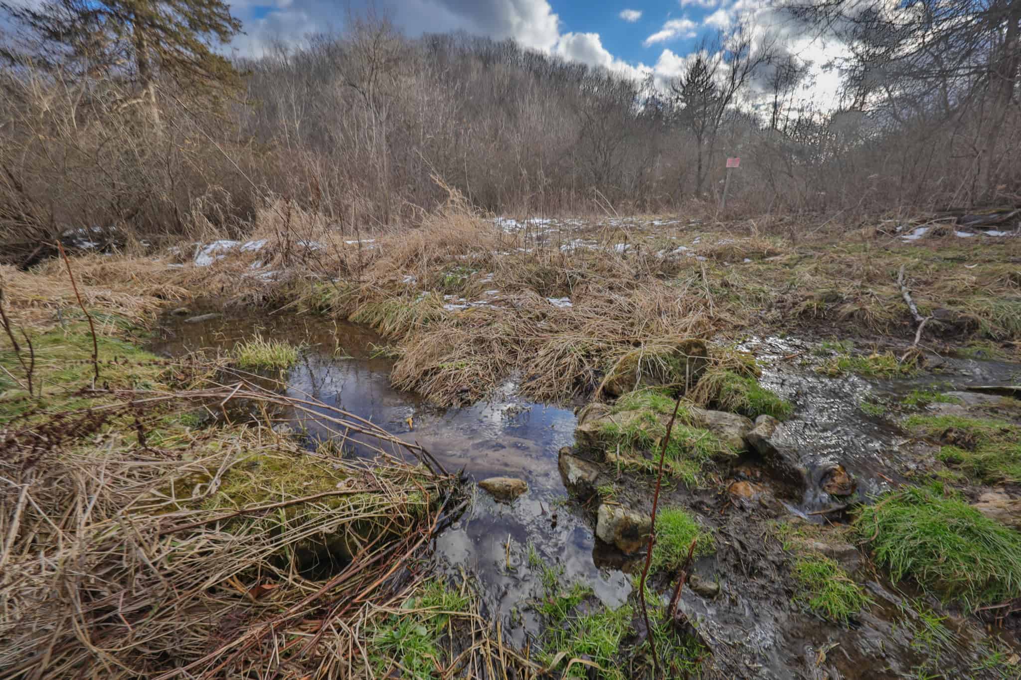 Prime Crawford County Hunting Land with Electric & Legendary Big Buck Potential