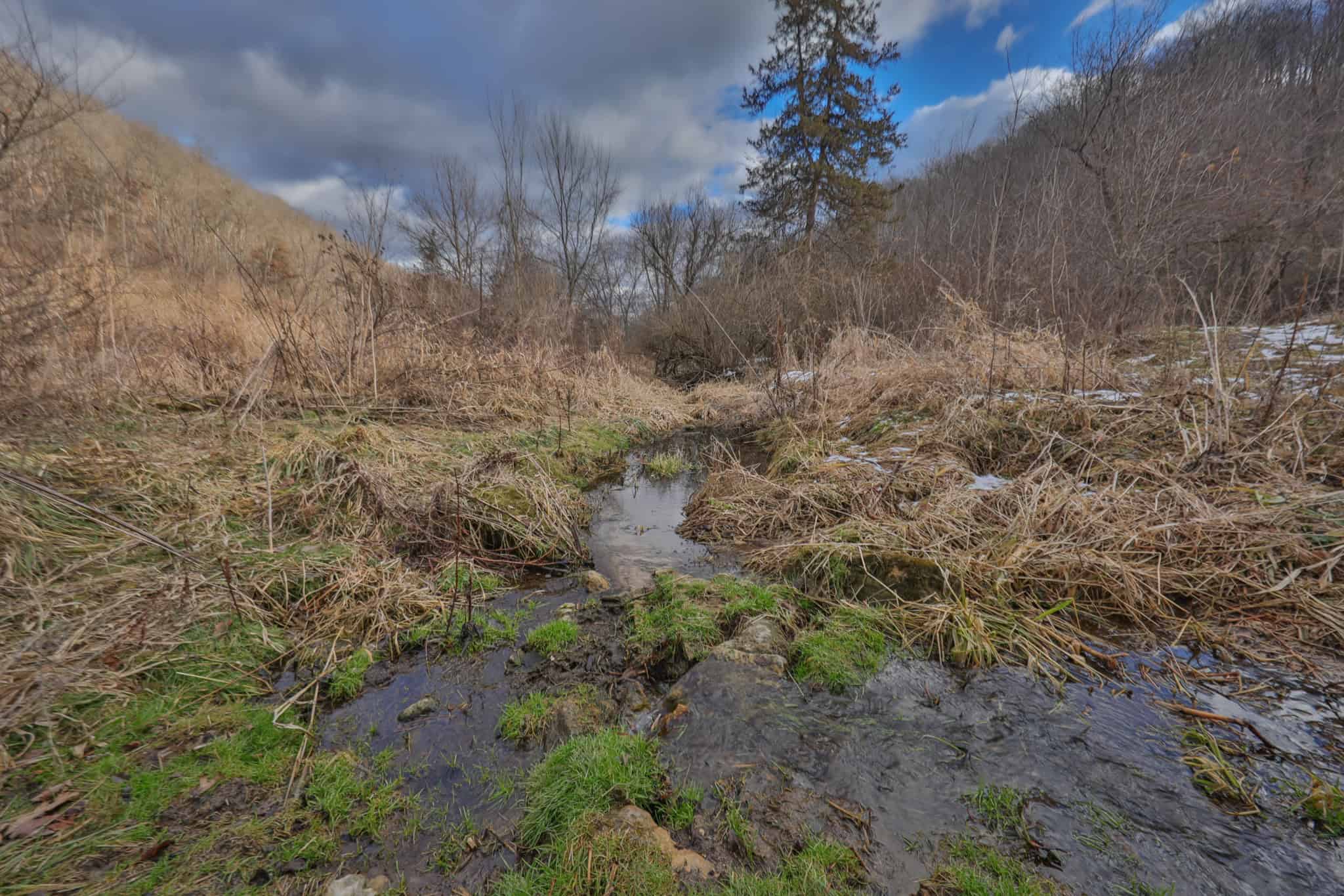 Prime Crawford County Hunting Land with Electric & Legendary Big Buck Potential