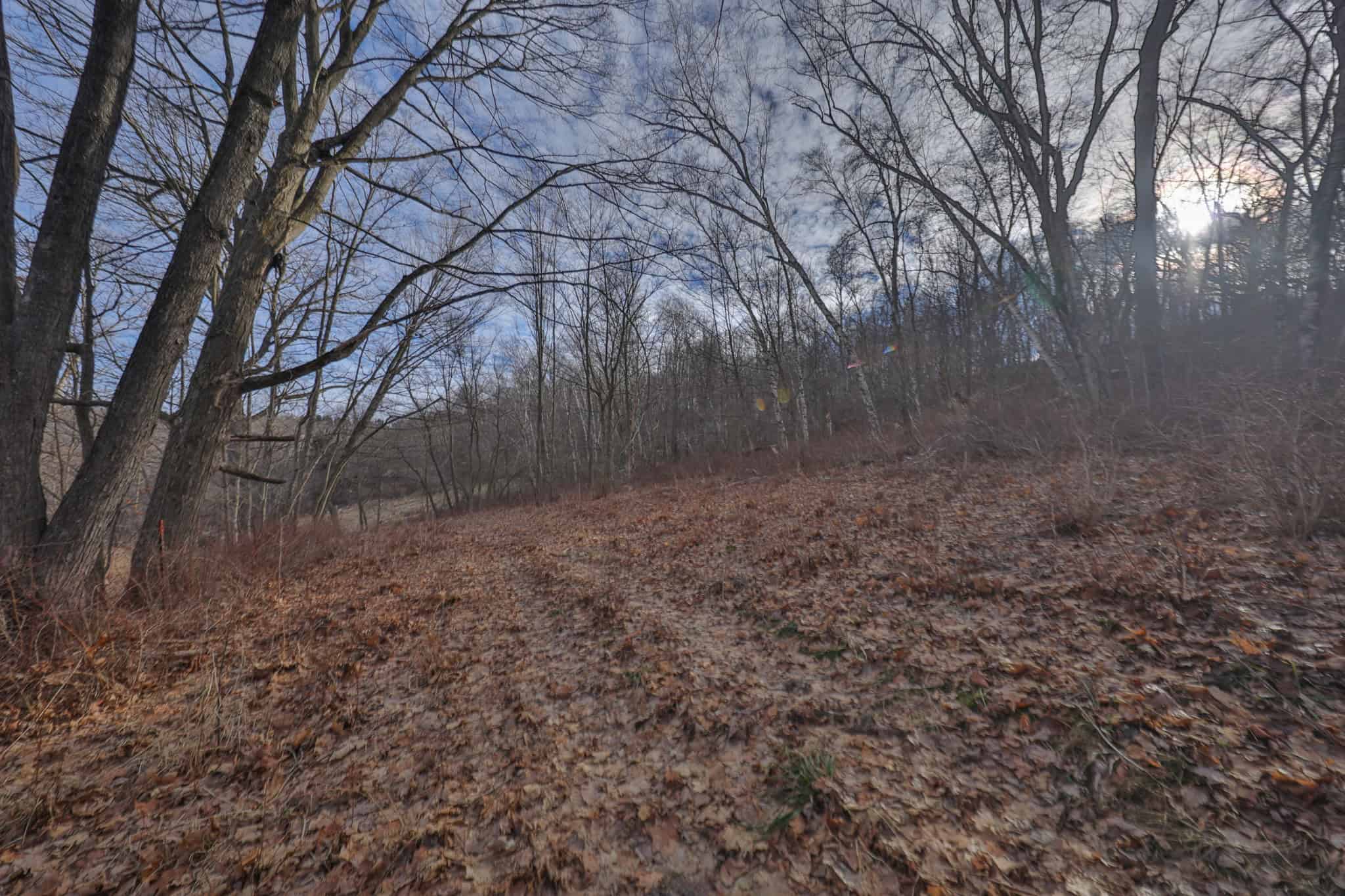 Driftless Trophy Whitetail Legacy Farm – Proven Big Buck Property with Prime Ag & Timber in Richland County, WI