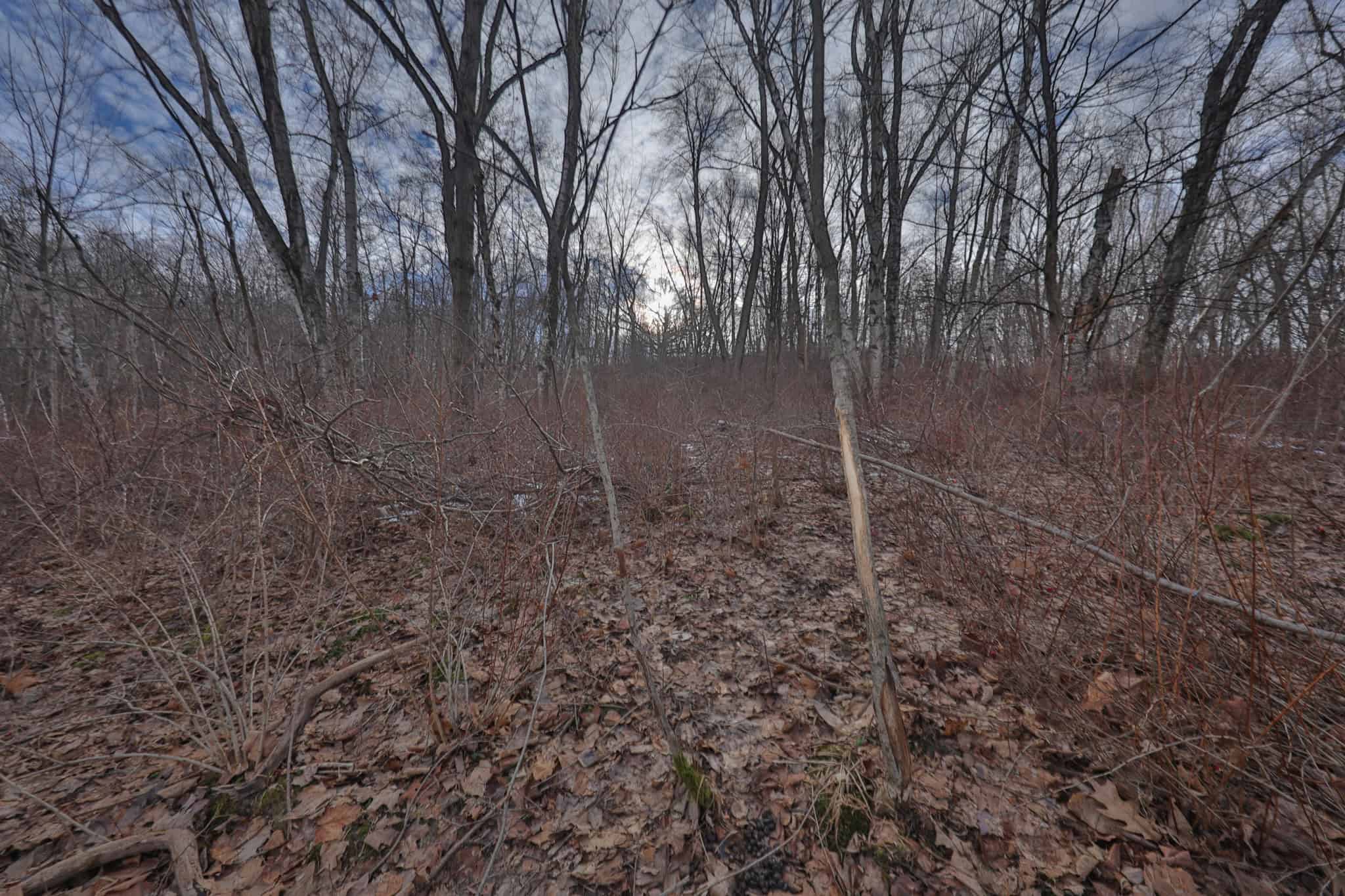 Driftless Trophy Whitetail Legacy Farm – Proven Big Buck Property with Prime Ag & Timber in Richland County, WI