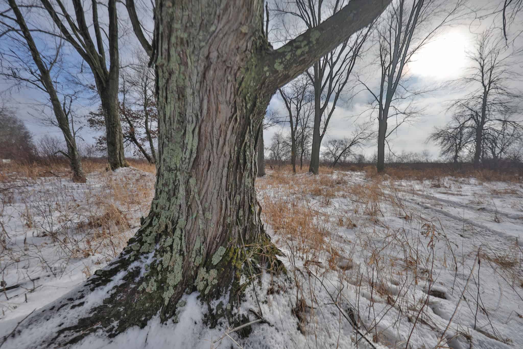159.54 Acre Adams County property Near Nekoosa, WI
