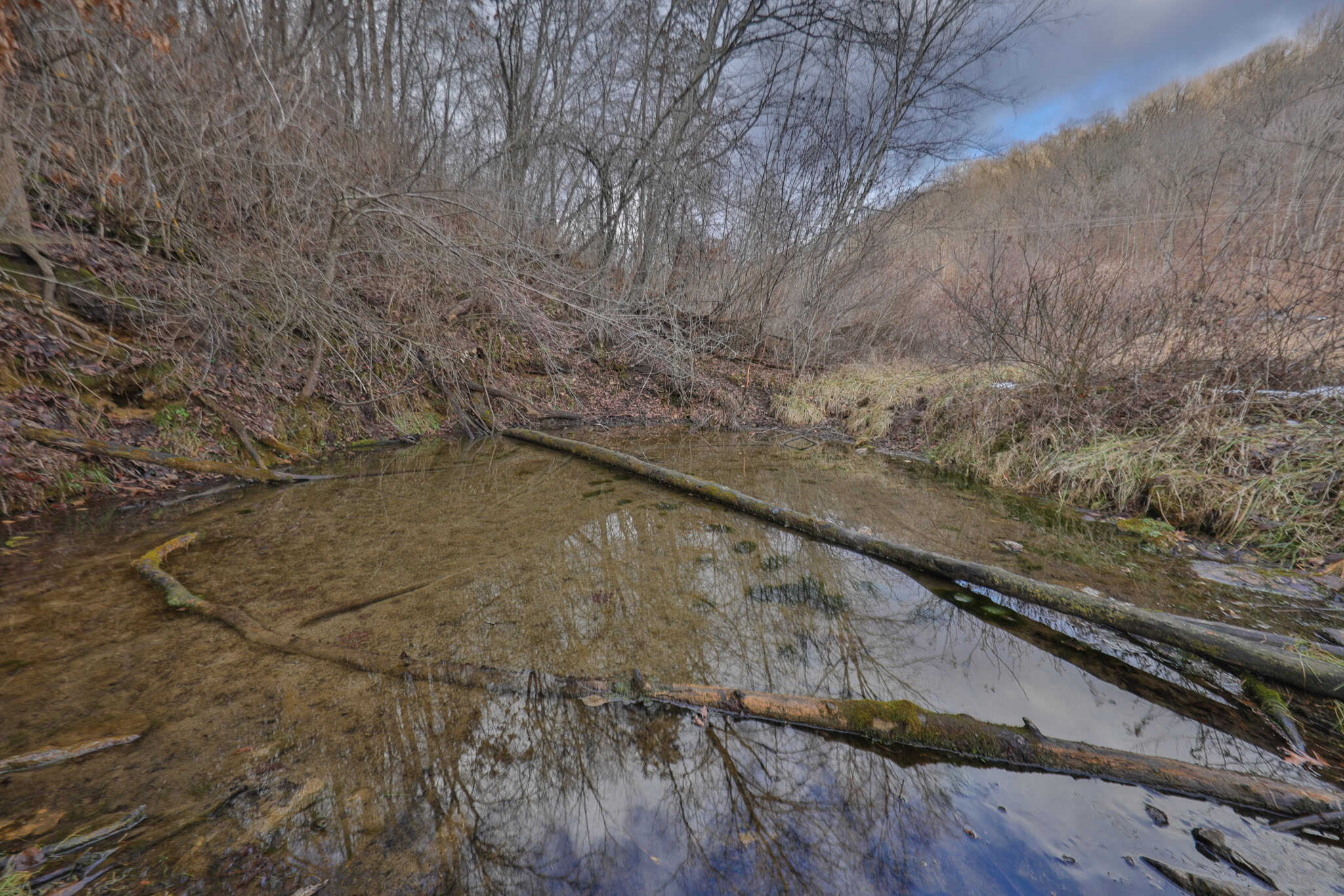 Prime Crawford County Hunting Land with Electric & Legendary Big Buck Potential