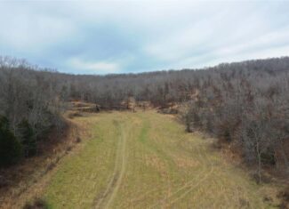 Land with Building Sites for Sale in Salem, Missouri