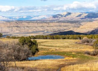 Bull Basin Meadows Ranch – Colorado Ranch in Collbran