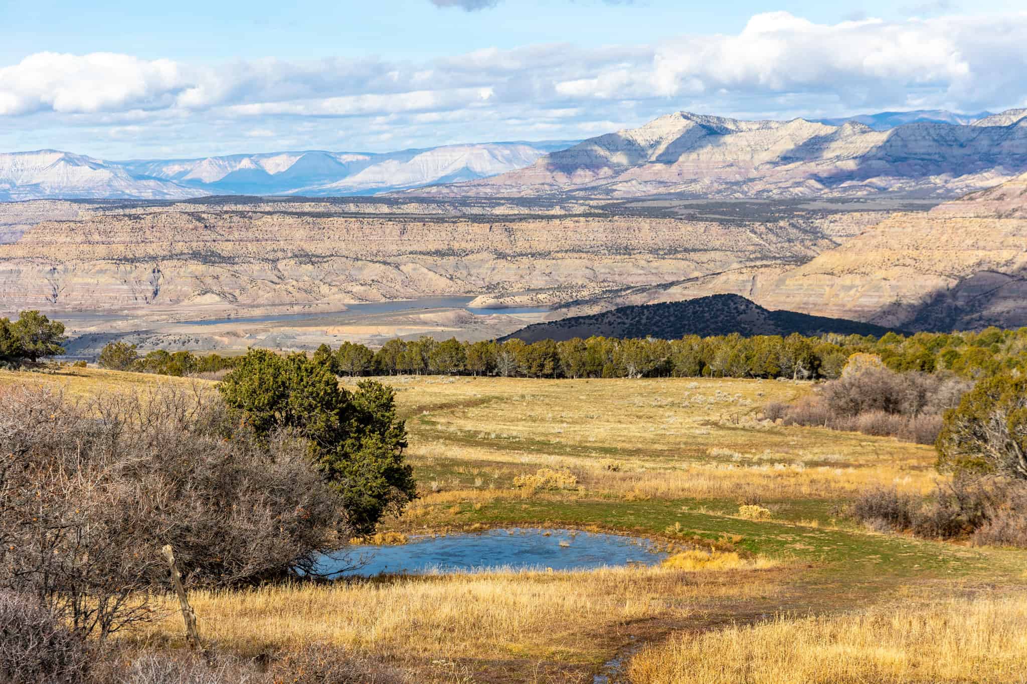 Bull Basin Meadows Ranch – Colorado Ranch in Collbran