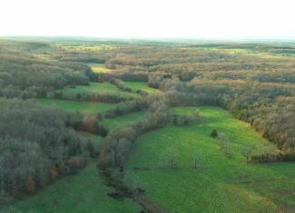Salem, Missouri Acreage for Sale