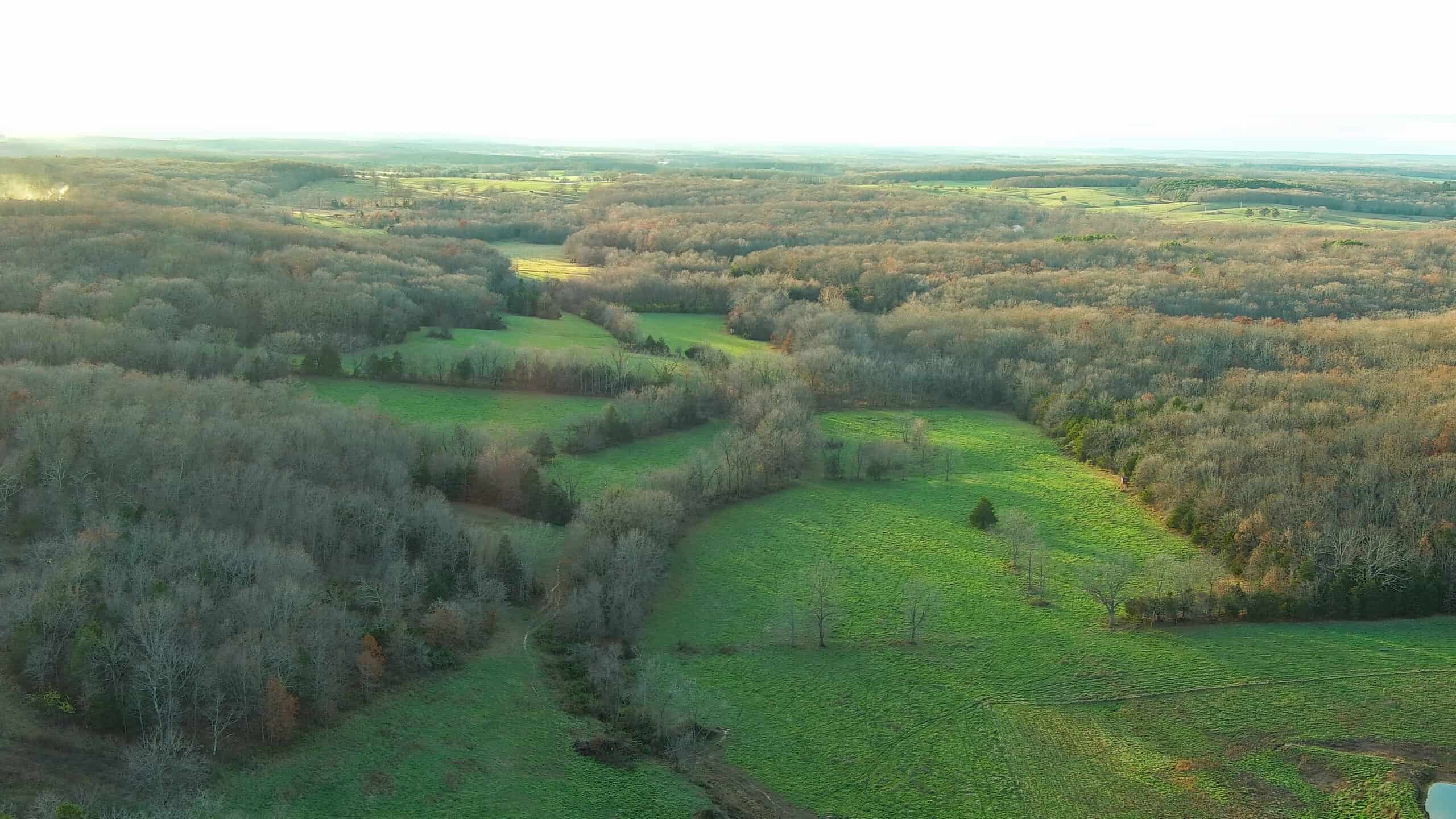 Salem, Missouri Acreage for Sale