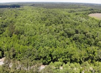 Situated along the scenic Jackson Branch in Allendale Cty is 98+/- acres
