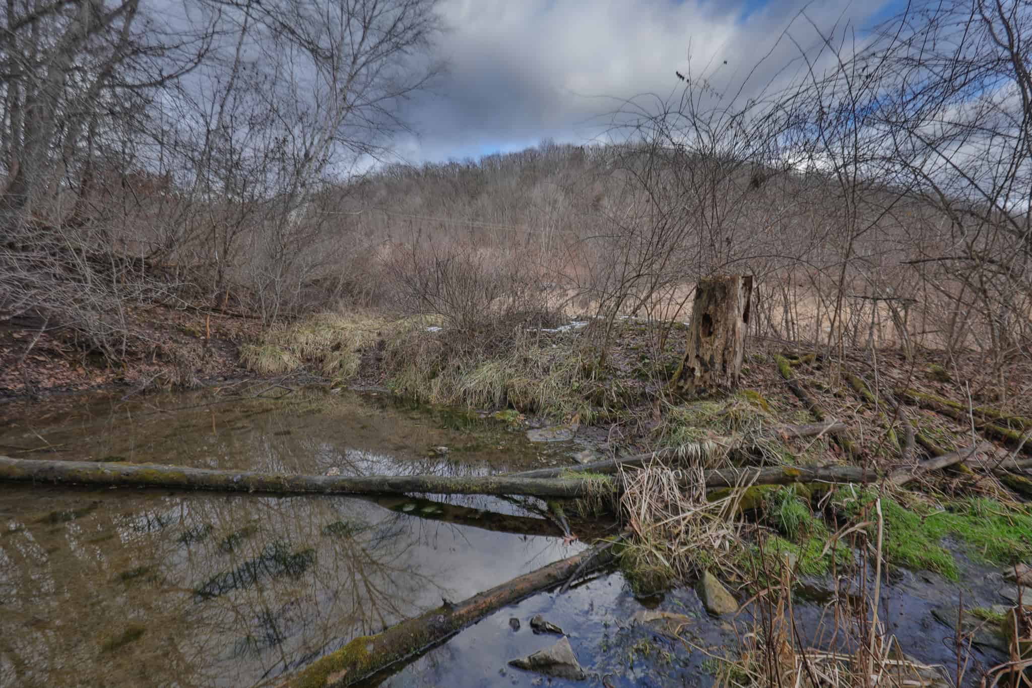 Prime Crawford County Hunting Land with Electric & Legendary Big Buck Potential
