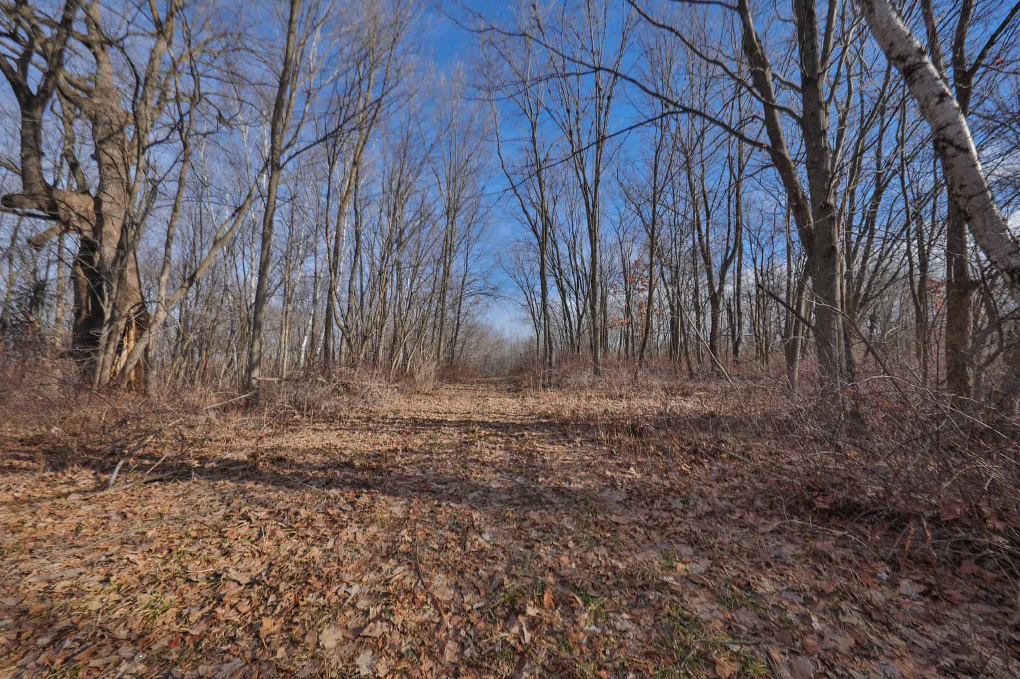 Driftless Trophy Whitetail Legacy Farm – Proven Big Buck Property with Prime Ag & Timber in Richland County, WI