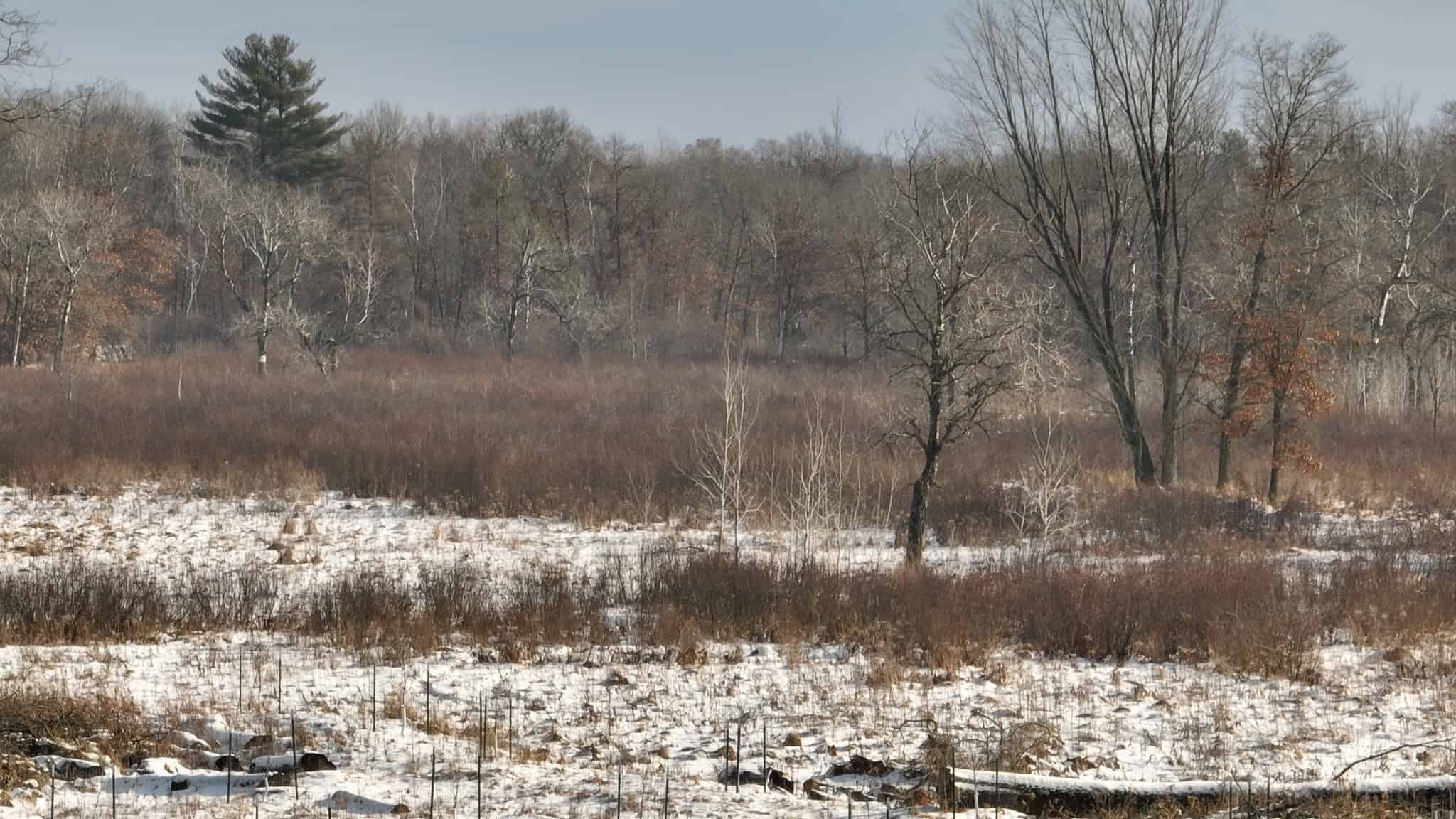 159.54 Acre Adams County property Near Nekoosa, WI