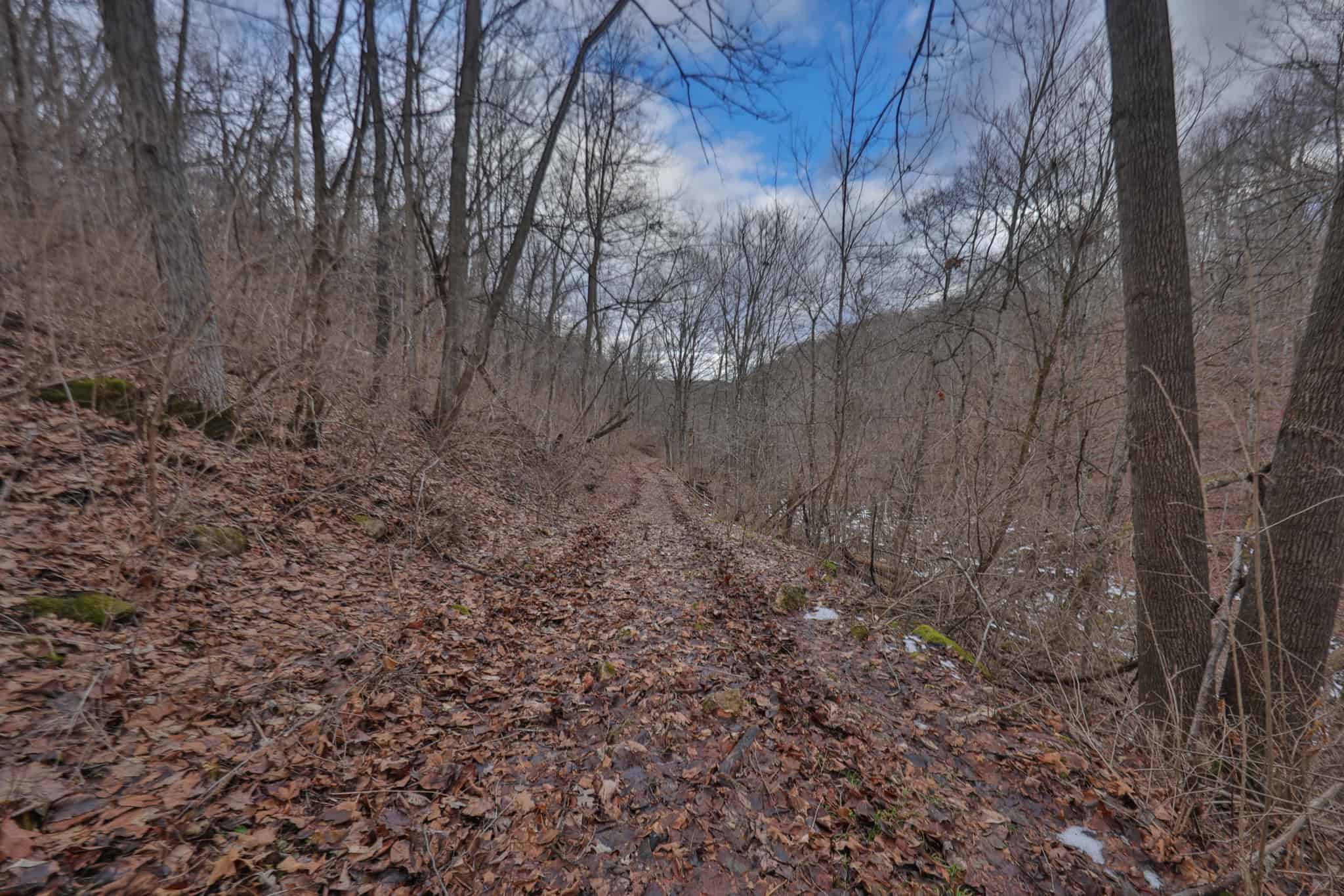 Prime Crawford County Hunting Land with Electric & Legendary Big Buck Potential